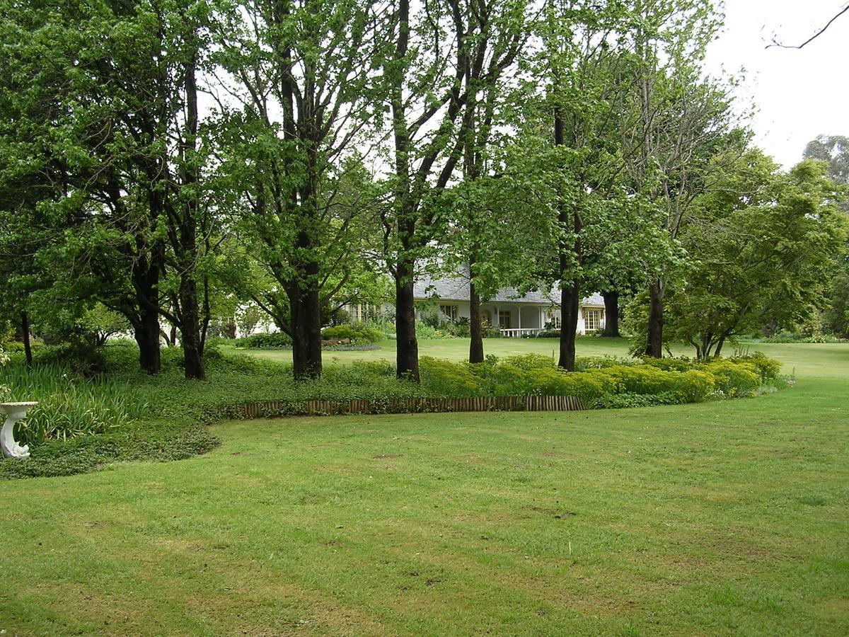 Cedar Garden Bed and Breakfast Underberg Eksteriør billede